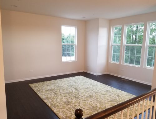 4194 Royal Mews Cir, Naperville IL  60564-7172 exterior