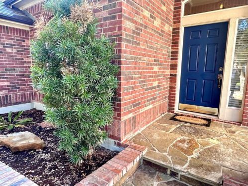 10200 Channel Island Dr, Austin TX  78747-2697 exterior