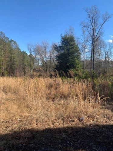 333 Duck Thurmond Rd, Dawsonville, GA 30534-2809