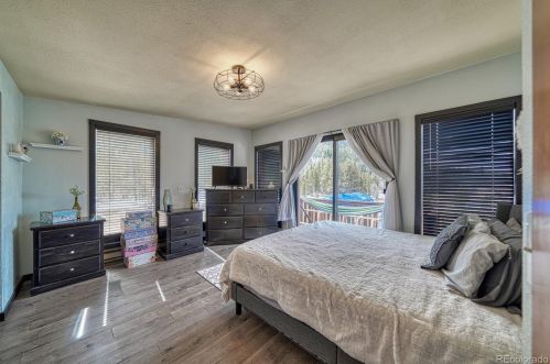 3002 Hwy 91, Leadville CO 80461-9712 exterior