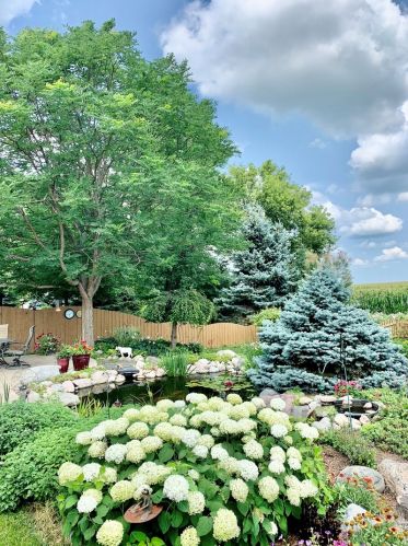 1172 Arneita St, Sycamore IL  60178-1125 exterior