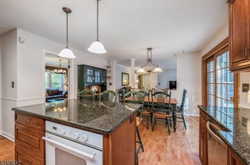 29 Phyllis Pl, Dover NJ  07869-4609 exterior
