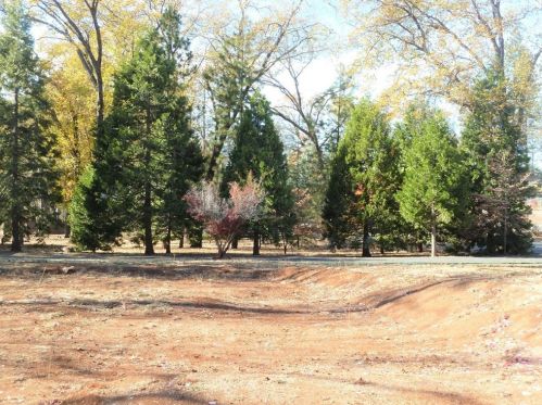 1348 Manhattan Dr, Paradise CA 95969 exterior