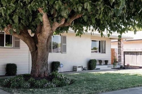 1812 Mariposa Way, Lodi, CA 95242-2537