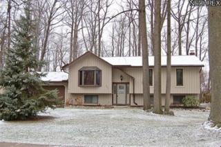 9285 Lorrich Dr, Concord Township, OH 44060-1709