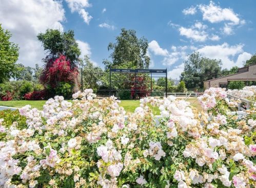 1545 Riverside Dr, Glendale CA 91201-3824 exterior