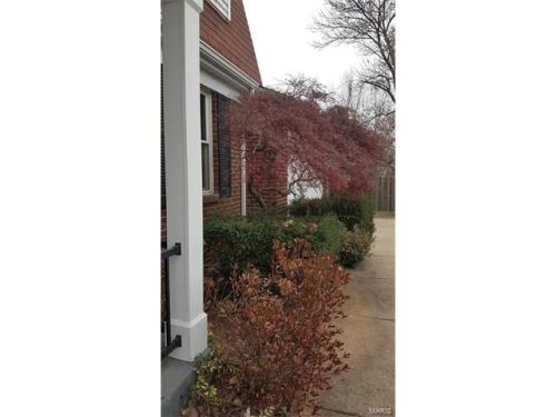 12059 Depaul Hills Dr, Hazelwood, MO 63044-3514