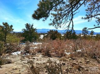 6090 Waterbarrel Rd, Beulah, CO 81023-9775