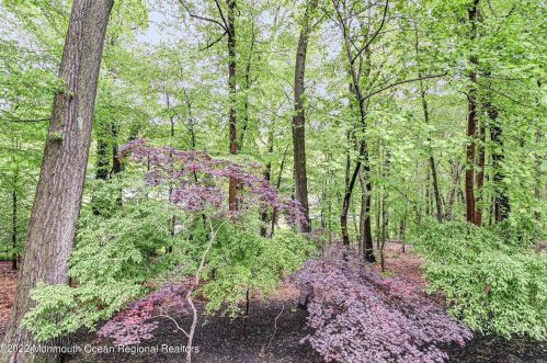 20 Fox Hill Rd, Middletown NJ 07748-2911 exterior