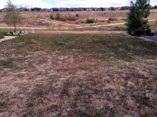 7035 Aladar Dr, Fort Collins, CO 80550-7061