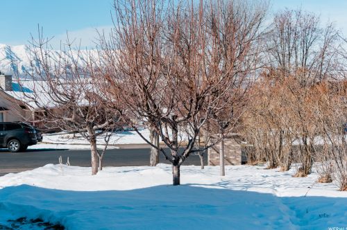 1080 Grandview Dr, Providence UT 84332-9317 exterior