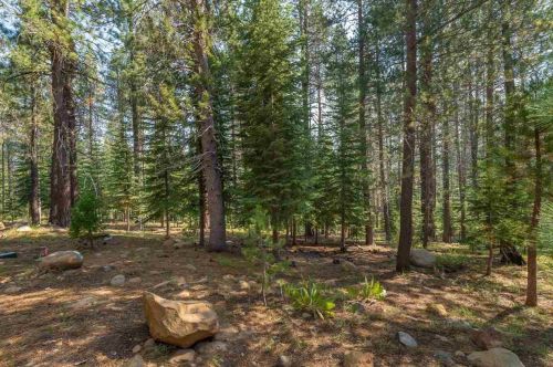 11235 Northwoods Blvd, Truckee CA  96161-6034 exterior