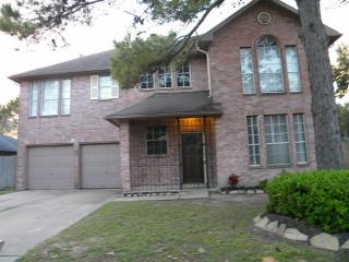 8915 Mattison Dr, Houston, TX 77088-1429