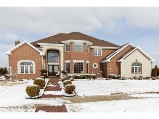 8824 Port Washington Dr, Frankfort, IL 60423-1775