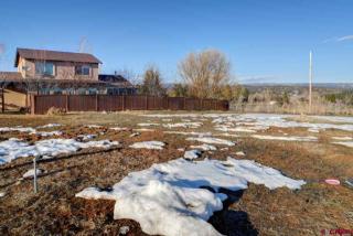 212 Full Moon Cir, Vallecito, CO 81122-9797