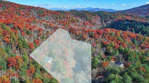 155 Kitchins Ln, Clayton, GA 30525-2714