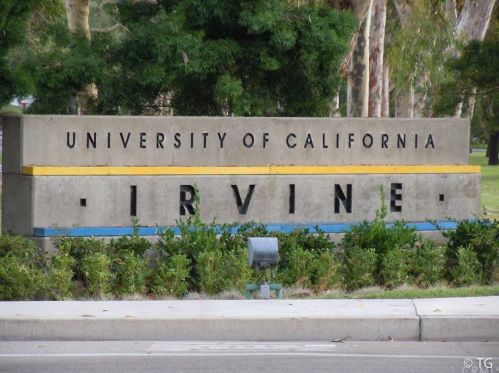 17482 Luther Ave, Irvine CA  92614-6643 exterior