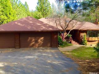 5277 Wolfhan Rd, Swansboro Country, CA 95667-8893