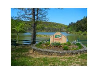 206 Turkey Trot Ln, Big Canoe, GA 30143-0075