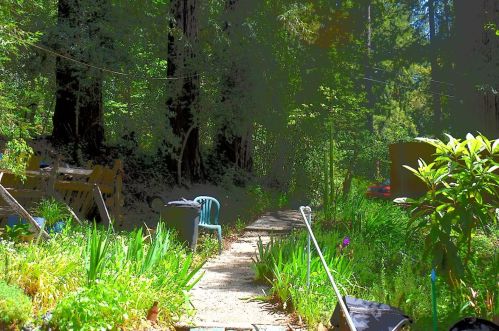 137 Margaret Dr, Big Basin, CA