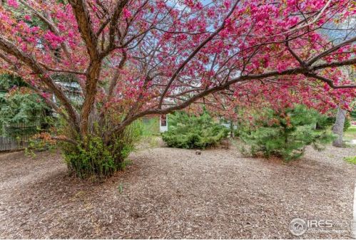2229 Primrose Dr, Fort Collins CO  80526-2128 exterior