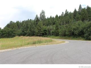 14271 Timber Trl, Palmer Lake CO  80118-6533 exterior