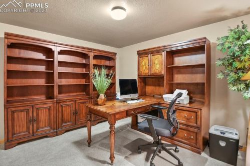 133 Elk Grove Ln, Woodland Park CO 80863-9171 exterior