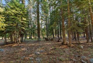 14049 Copenhagen Dr, Truckee, CA 96161-6663