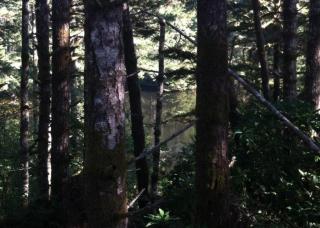3501 Shore View Dr, Waldport, OR 97394-9572