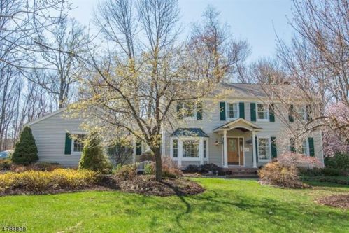 6 Wick Ln, Dover, NJ 07869-4122