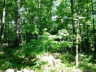 13100 Eppes Falls Rd, Chesterfield, VA 23838-1261