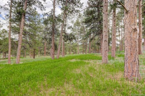 5177 Timber Ridge Dr, Elizabeth, CO 80107-8124