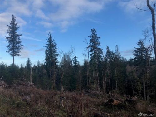 40 Nickelbush Ln, Dabob, WA 98376-7508