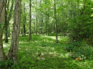 623 Garrett Branch Rd, Ellijay, GA 30536-4810