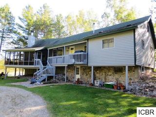 41579 Turtle Lake Rd, Bigfork, MN 56628-4206