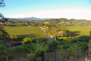 8691 Dry Creek Rd, Healdsburg, CA 95448-8109