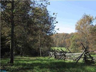 2614 Stagebridge Rd, Lovingston, VA 22949