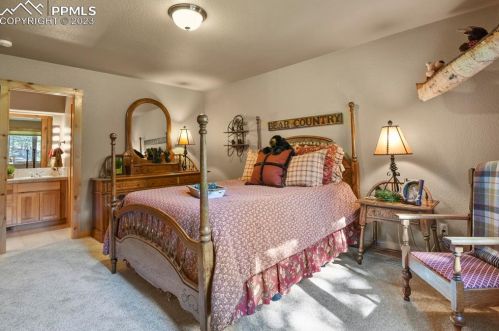 133 Elk Grove Ln, Woodland Park CO 80863-9171 exterior