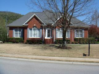 318 Magnolia Vale Dr, Chattanooga, TN 37419-2162