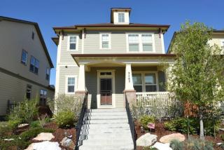 3483 Ulster St, Denver CO  80238-2784 exterior