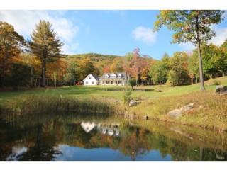 1770 Tyson Rd, Reading Center VT  exterior