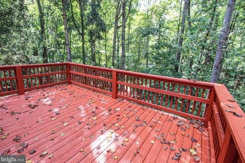 14212 Long Green Dr, Silver Spring MD 20906-2074 exterior