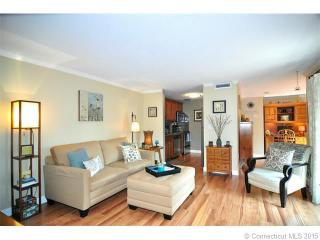 161 Trolley Crossing Ln, Middletown, CT 06457-5860