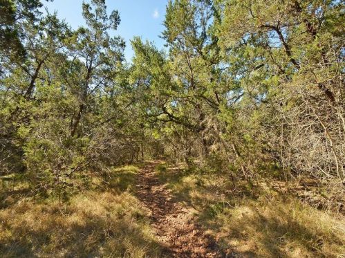 4520 Eagle Feather Dr, Austin TX  78735-6466 exterior