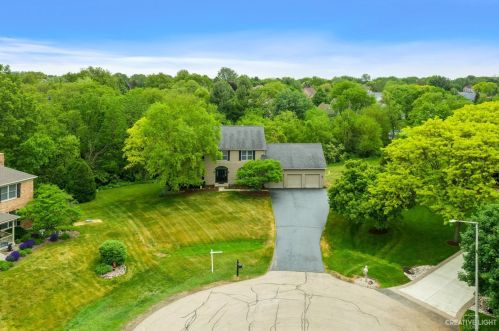 221 Salem Ct, Barrington Hills, IL 60118