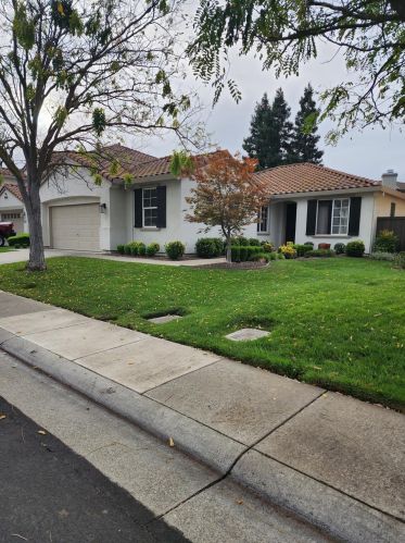 2432 Lark Sparrow Way, Elk Grove, CA 95757-8177