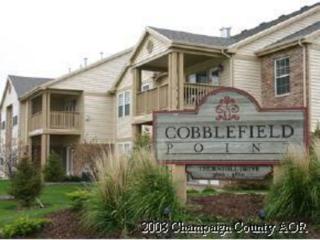 3836 Thornhill Cir, Champaign IL  61822-3529 exterior