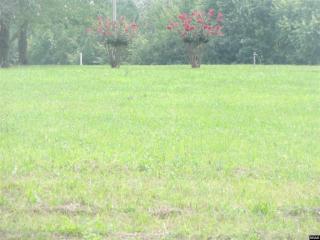 1366 Paris Highway 54, Dresden, TN 38225-2384