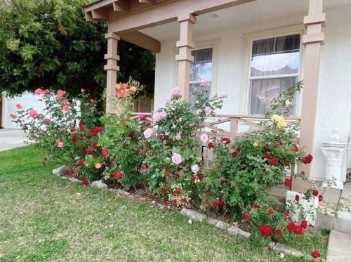 3950 Coral Haven Ct, Perris, CA 92571-7498