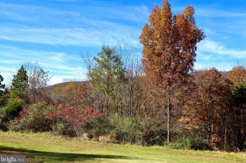 543 Coyote Run Rd, Mathias, WV 26812-8297